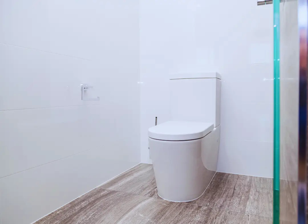 Remplacement de wc Sainte-Maure-de-Touraine